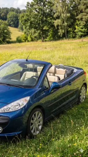 Peugeot 207 Bild 2