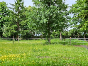 Paddockhaltung(Offenstall) WG sucht nette Mitbewohner 