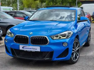 BMW X2 xDrive 20 d M Sport *Pano *AHK *Kamera *LED