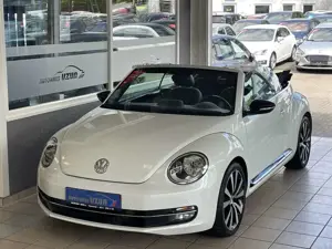 Volkswagen Beetle Bild 2