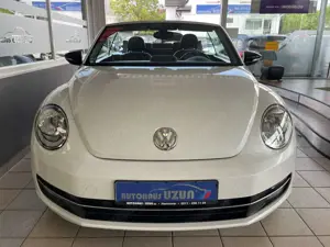 Volkswagen Beetle Bild 4