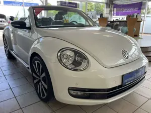 Volkswagen Beetle Bild 3