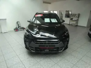 CUPRA Terramar 2.0 TSI 195 kW 4Drive VZ Bild 5