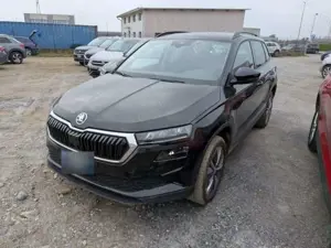 Skoda Karoq Bild 5
