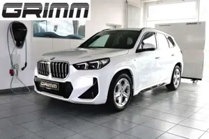 BMW X1 sDrive18i MSport, Panorama, HK HiFi, el.Sitze, LED