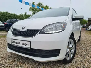 Skoda Citigo CLEVER Green tec *T-LEDER/KLIMA/SHZ/PDC/LMF/LED-