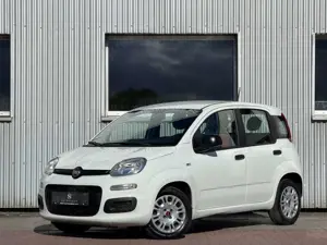 Fiat Panda Easy USB Klima El Fenster City Bild 4