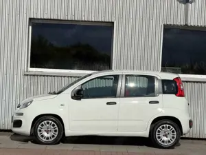 Fiat Panda Easy USB Klima El Fenster City Bild 5