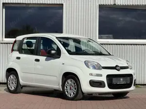 Fiat Panda Easy USB Klima El Fenster City
