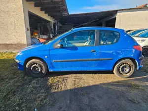 Peugeot 206 Petit Filou