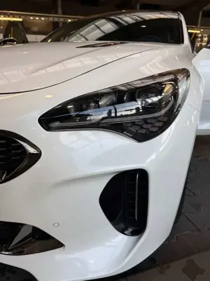 Kia Stinger Stinger 3.3 T-GDI AWD OPF GT Bild 3