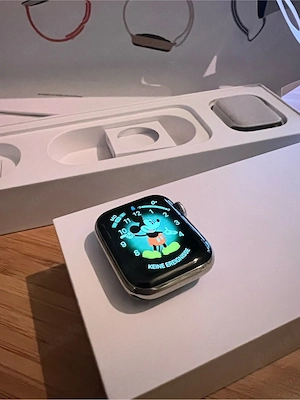 Apple Watch Serie 5 Edelstahl CEL 40mm