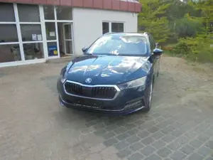 Skoda Octavia Style LED Matrix-RFK-Ambientelicht-NAVI