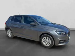 Skoda Fabia Selection FS beheizbar, MFL mit Heizung