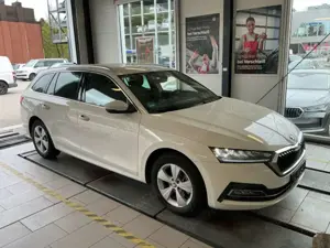 Skoda Octavia Bild 3