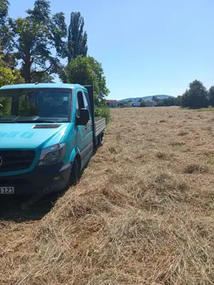 Mercedes-Benz Sprinter 313 CDI 906.733 BlueEFFICIENCY CREW Bild 4
