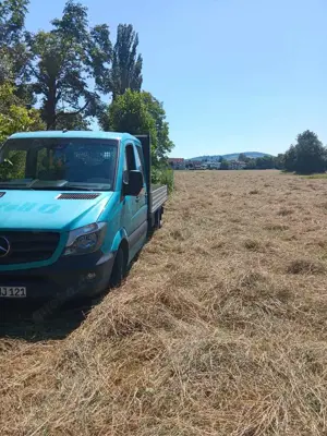 Mercedes-Benz Sprinter 313 CDI 906.733 BlueEFFICIENCY CREW Bild 5