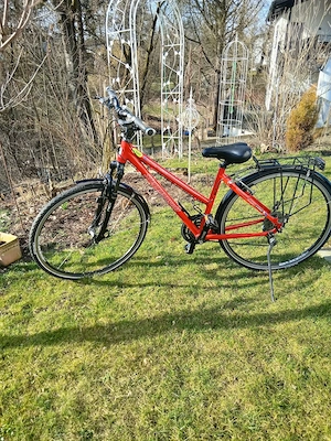 Damen Trecking- Citybike Steppenwolf