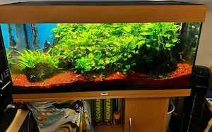 Aquarium mit Unterschrank