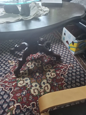 4 Kitten abzugeben 