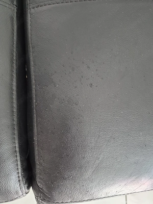 Wohnlandschaft Leder Bild 5