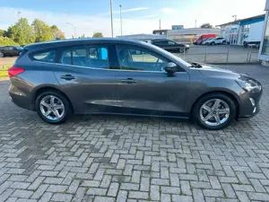 Ford Focus Bild 4
