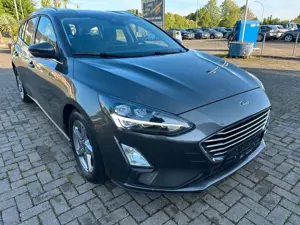 Ford Focus Bild 3