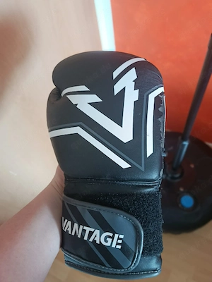 Boxsack mit Handschuhen  Bild 3