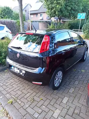 Fiat Punto Bild 3