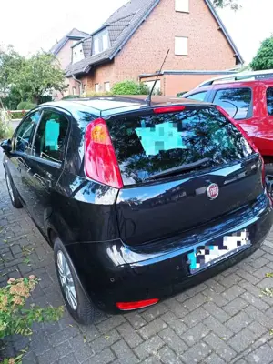 Fiat Punto Bild 2