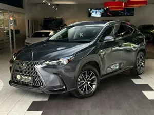 Lexus NX 350h NX 350 h Business Line Leder Kamera ACC