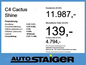 Citroen C4 Cactus Bild 3