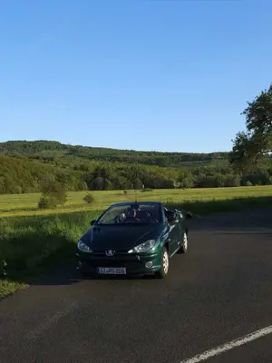 Peugeot 206 CC 110 Roland Garros Bild 2
