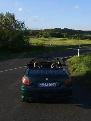 Peugeot 206 CC 110 Roland Garros Bild 4