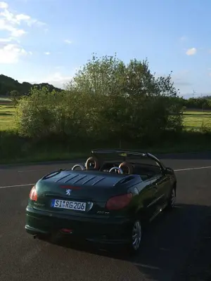 Peugeot 206 CC 110 Roland Garros Bild 3
