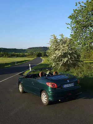 Peugeot 206 CC 110 Roland Garros Bild 5