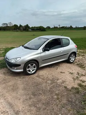 Peugeot 206 136   S 16