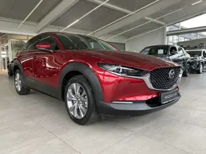 Mazda CX-30 2.5 Exclusive AUTOMATIK Matrix, Bose, 360°, Qi, He