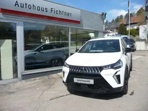 Mitsubishi Grandis