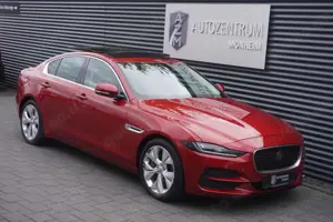 Jaguar XE Bild 3