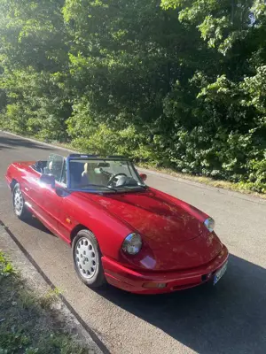 Alfa Romeo Spider