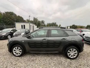 Citroen C4 Cactus Bild 3