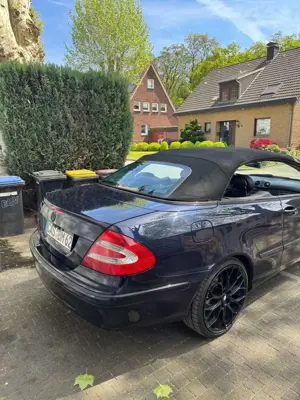 Mercedes-Benz CLK 200 Cabrio Kompressor Avantgarde LPG Bild 2