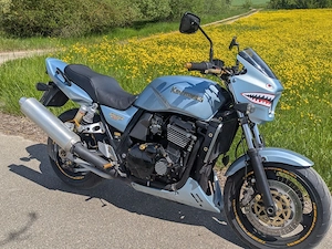 Kawasaki ZRX 1100 
