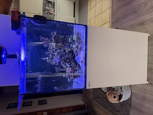 Gegen Gebot !!!! Red Sea Reefer e170 komplett mit sämtlichem Zubehör und Inhalt 