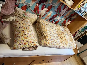 Kojenbett mit Hängeregal von Welle Möbel  Buchefarben Bild 2