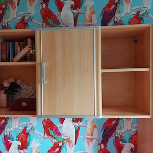 Kojenbett mit Hängeregal von Welle Möbel  Buchefarben Bild 5