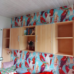 Kojenbett mit Hängeregal von Welle Möbel  Buchefarben Bild 7