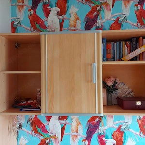 Kojenbett mit Hängeregal von Welle Möbel  Buchefarben Bild 6