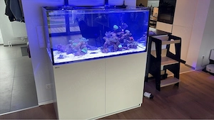 Red Sea Reefer MAX 425 G2+ komplett System